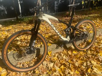 CTM SCROLL XPERT 29" 2023 - 6