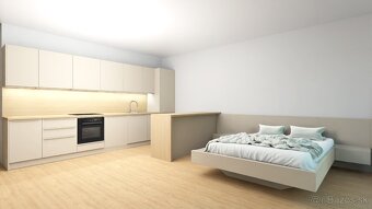 1-IZBOVÝ BYT V PROJEKTE VILA NIZZA, NOVOSTAVBA – TR. TEPLICE - 6