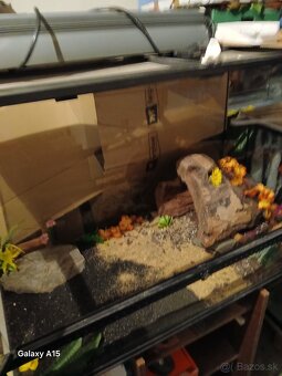 Voľne Terária + AquaTerárium - 6