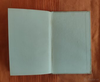 Nekonečná noc - Agatha Christie - 6