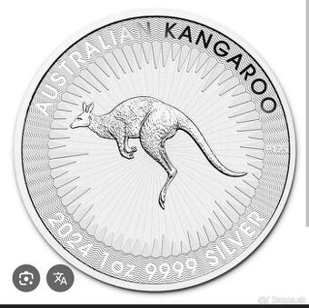 Strieborné 1oz mince - 6