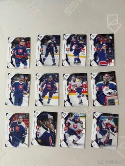 Hokejove karticky - 6