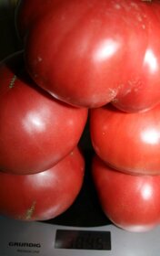 Predaj domácich semienok paradajky - 6