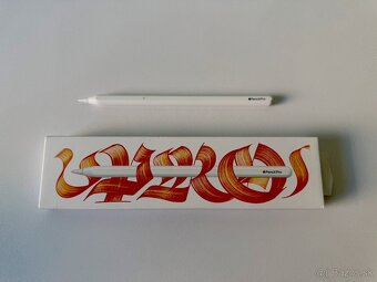PREDAM/ VYMENIM IPAD PRO 13 M4 CELLUAR + APPE PENCIL PRO - 6
