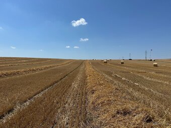 Predám môj prebytok pšeničnej slamy - 6