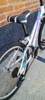 Bicykel Dema Pegas 24" alu - 6