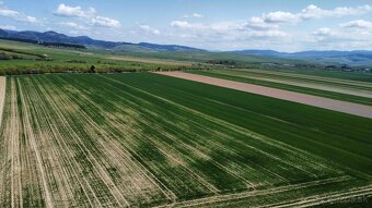 Podhorany – 8.227 m2 ORNÁ PÔDA v podiele 1/1 – Predaj - 6