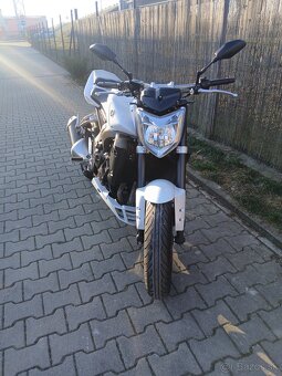 Yamaha FZ1 - 6