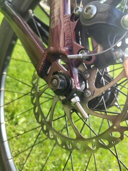 CTM Dirtking 2021 - 6