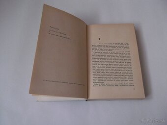 Daphne Du Maurier-Rebeka - 6