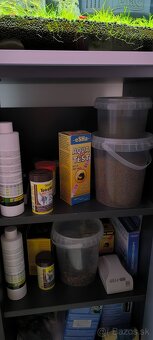 Predám akvarium - 6