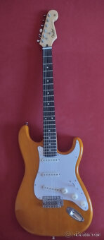Fender - 6