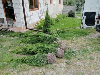 Tuja Smaragd, vavrínovec, červienka - ROŽŇAVA - 6