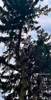 PONÚKAM OREZAVANIE A VÝRUB STROMOV - 6