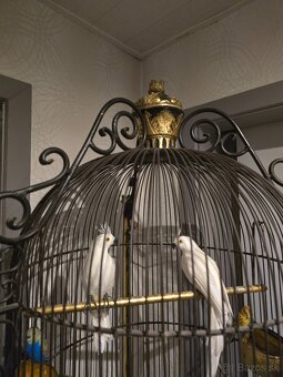 Vintage železná kráľovsky zdobená vtáčia klietka na stojane - 6