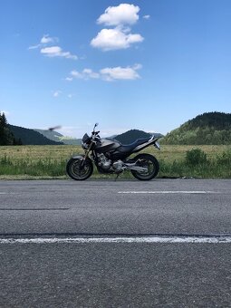 Honda Hornet 600 2006 - 6