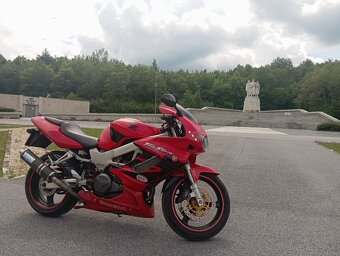 Honda VTR 1000 - 6