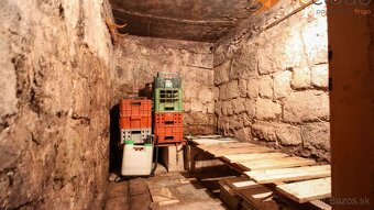 Na predaj záhradný domček so záhradou – Staré Levice | 624 m - 6