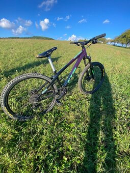 CTM RAPTOR 1.0 2021 - 6
