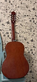 Akustická gitara - Special Edition - Classic - 6
