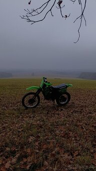 Kawasaki kmx 125 - 6