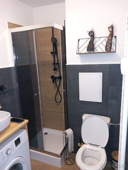 Prenájom 1.izbový byt - 6