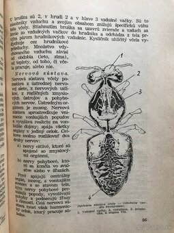 Koloman Novacký: Včelárstvo (1955) - 6