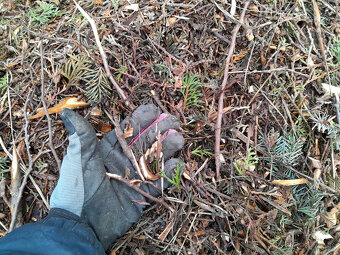 Predám drvič konárov - 6