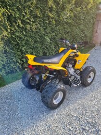 can am ds 250 2015 - 6