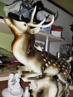 Rádiá Foťák Lampa Obraz - 6