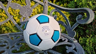 Futbalova lopta - 6