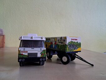 TATRA 815 SAFARI AFRIKA - 6