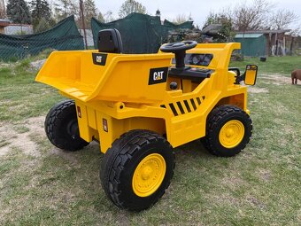 CAT BEC 8166 - 6