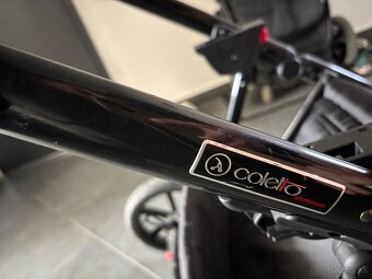 Coletto Dante - 6