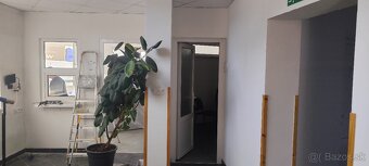 Maľovanie interiérov - 6