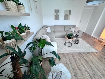 2-izb byt s balkónom- Vnútorná ul.(Staré sídlisko) - 6