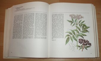 Atlas Liečivých rastlín a lesných plodov - 6