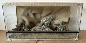 Terárium 80x40x40 s 3D stenou - 6