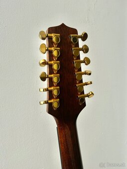 Takamine  EG345C 12-strunová elektro-akustická - 6