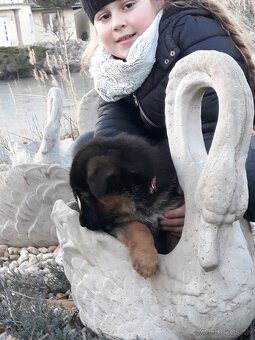 TRVÁCNE ZÁHRADNÉ SEDENIE v antickom duchu chytené patinou - 6