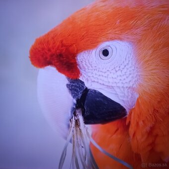 Thomson 4k 55 led lcd tv - 6