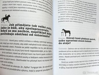 Proč spí koně vestoje? - 6