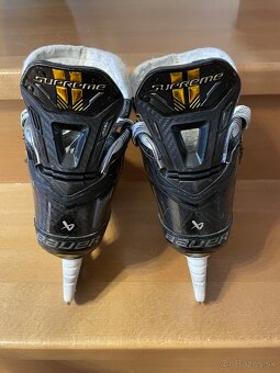 Korcule Bauer Supreme M5 Pro - 6