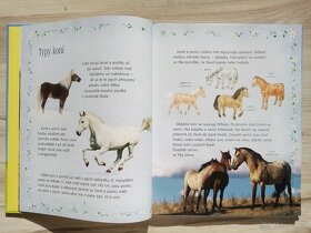 Kniha Jazdci, kone a poníky-Dickins a Pratt - 6