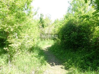 HALO reality - Predaj, pozemok 5834 m2 Trnava, zaujímavý i - 6