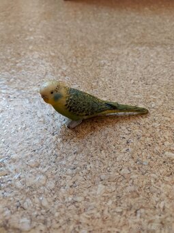 Plastove zvierata a dinosaury - 6