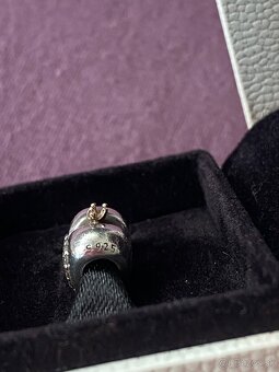 Pandora bicolor srdiečko - 6