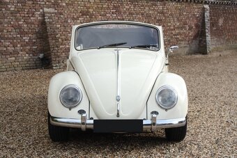 Volkswagen Beetle - 6