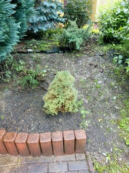 Ponukam brigadu do zahrady - 6