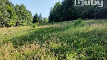 PREDAJ - POZEMOK NA SAMOTE DOLNÝ MILOCHOV OKRES POVAŽSKÁ BYS - 6